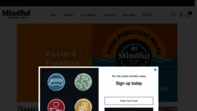 What Mindfulsupply.com website looked like in 2023 (This year)