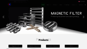 What Magneticclear.com website looked like in 2023 (This year)