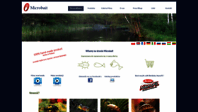 What Microbait.pl website looked like in 2023 (This year)