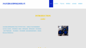 What Mbseojp.cn website looked like in 2023 (This year)
