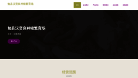 What Mx169.cn website looked like in 2023 (This year)