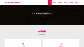 What Maimaihuodong.com website looked like in 2023 (This year)