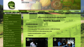 What Mavmrasadnik.com website looked like in 2023 (This year)