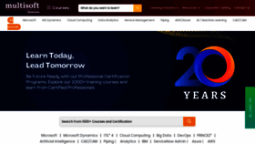 What Multisoftsystems.com website looked like in 2023 (This year)