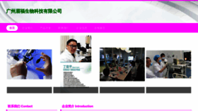 What Meifuji888.com website looks like in 2024 
