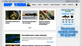 What Mirulova.ru website looks like in 2024 