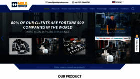 What Moldproducer.com website looks like in 2024 