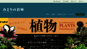 What Midorinosoko.jp website looks like in 2024 