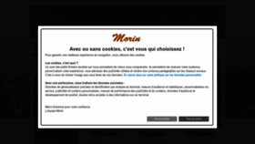 What Morinfrance.com website looks like in 2024 