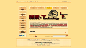 What Mr-tip.com website looks like in 2024 