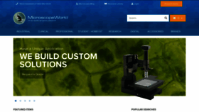 What Microscopeworld.com website looks like in 2024 