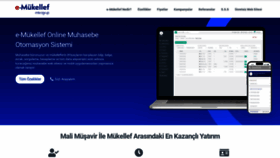 What Muhasebeturk.org website looks like in 2024 
