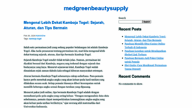What Medgreenbeautysupply.com website looks like in 2024 