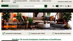 What Maxifleur-kunstplanten.nl website looks like in 2024 