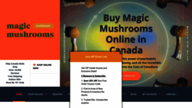 What Magicmushroomsdispensary.ca website looks like in 2024 
