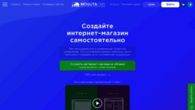 What Moguta.ru website looks like in 2024 