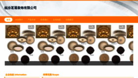 What Mingtongzhuangs.com website looks like in 2024 