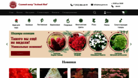 What May-green.ru website looks like in 2024 