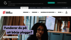What Mau.se website looks like in 2024 