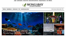 What Mongabay.co.id website looks like in 2024 