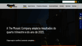 What Mosaicco.com.br website looks like in 2024 