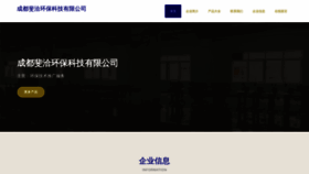 What Mvvbfqa.cn website looks like in 2024 