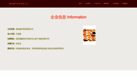 What Minshenshidai.com website looks like in 2024 