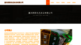 What M6sc.cn website looks like in 2024 