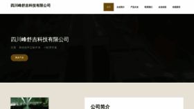 What Mvrfxjs.cn website looks like in 2024 