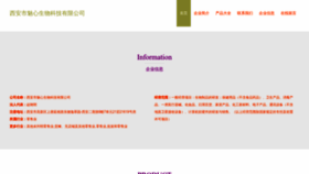 What Meixinnj.com website looks like in 2024 