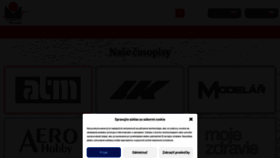 What Magnetpress.online website looks like in 2024 