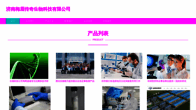 What Meimeichuanqi.com website looks like in 2024 