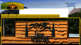 What Newhorizonsyouth.com website looked like in 2013 (10 years ago)