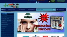 What Netecza.com website looked like in 2013 (10 years ago)