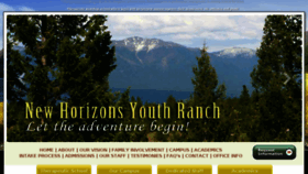 What Newhorizonsyouth.com website looked like in 2014 (9 years ago)