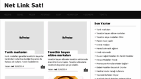 What Netlinksat.com website looked like in 2014 (9 years ago)