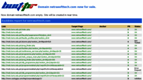 What Netrasofttech.com website looked like in 2014 (9 years ago)
