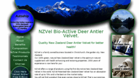 What Nzvel.com website looked like in 2016 (8 years ago)