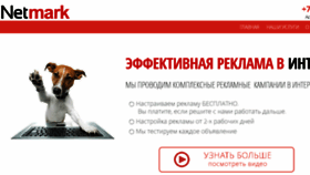 What Netmark.kz website looked like in 2016 (9 years ago)
