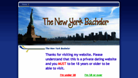 What Newyorkbachelor.com website looked like in 2016 (8 years ago)