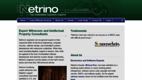 What Netrino.com website looked like in 2016 (8 years ago)