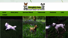 What Naughty-pets.co.uk website looked like in 2016 (8 years ago)