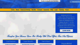 What Netbusinessace.com website looked like in 2016 (7 years ago)