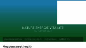 What Nature-energie-vitalite.com website looked like in 2016 (7 years ago)