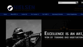 What Nielsentraining.com website looked like in 2016 (7 years ago)