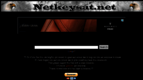 What Netkeysat.net website looked like in 2016 (7 years ago)