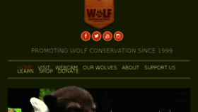 What Nywolf.com website looked like in 2017 (7 years ago)