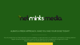 What Netmints.com website looked like in 2017 (7 years ago)