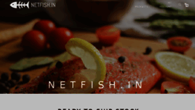 What Netfish.in website looked like in 2017 (7 years ago)