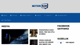 What Nettekiblog.net website looked like in 2017 (7 years ago)